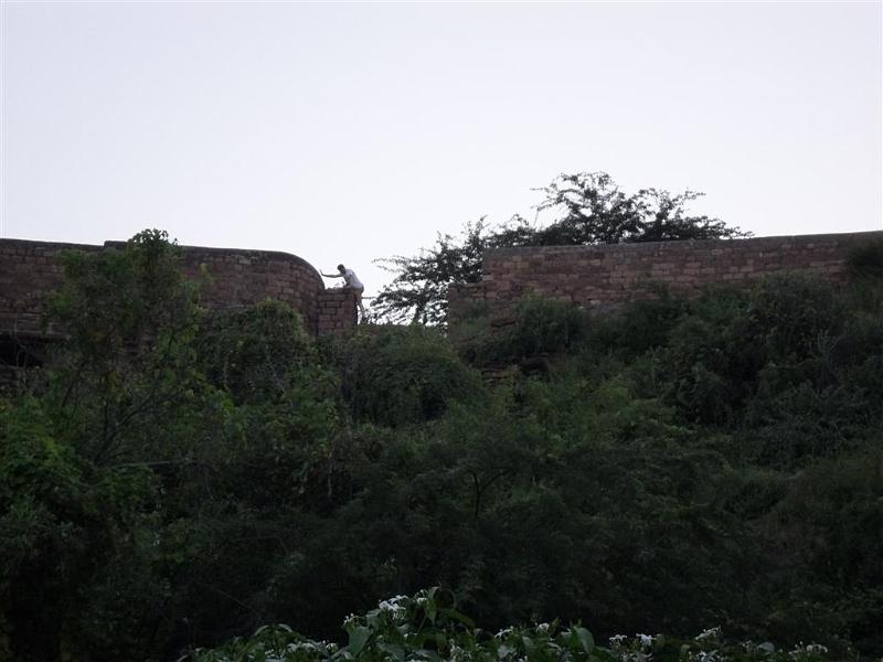 Rajasthan 2011-09-24 18-24-24 (SAM_0633) (Large).JPG